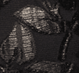 cor