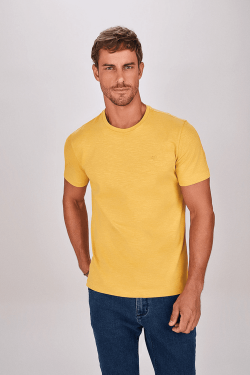 CAMISETA MANGA CURTA FLAMÊ SUPREME